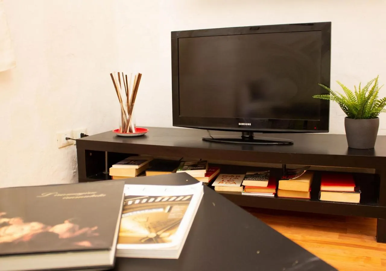 Central Studio Pisa Apartment