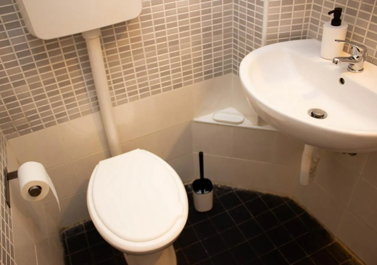 Central Studio Pisa Apartment